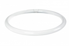 Leuchtstoffr�hre Ringform Warmton 32W G10q 307mm - Abmessungen und Daten:   Sockel:  G10q...