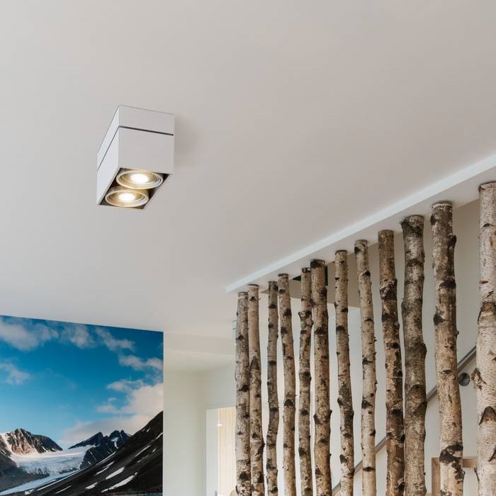 KARDAMOD Surface Square Double Deckenlampe