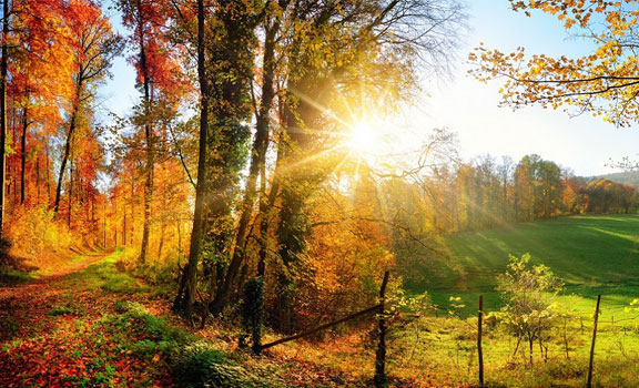 Landschaft im Herbst