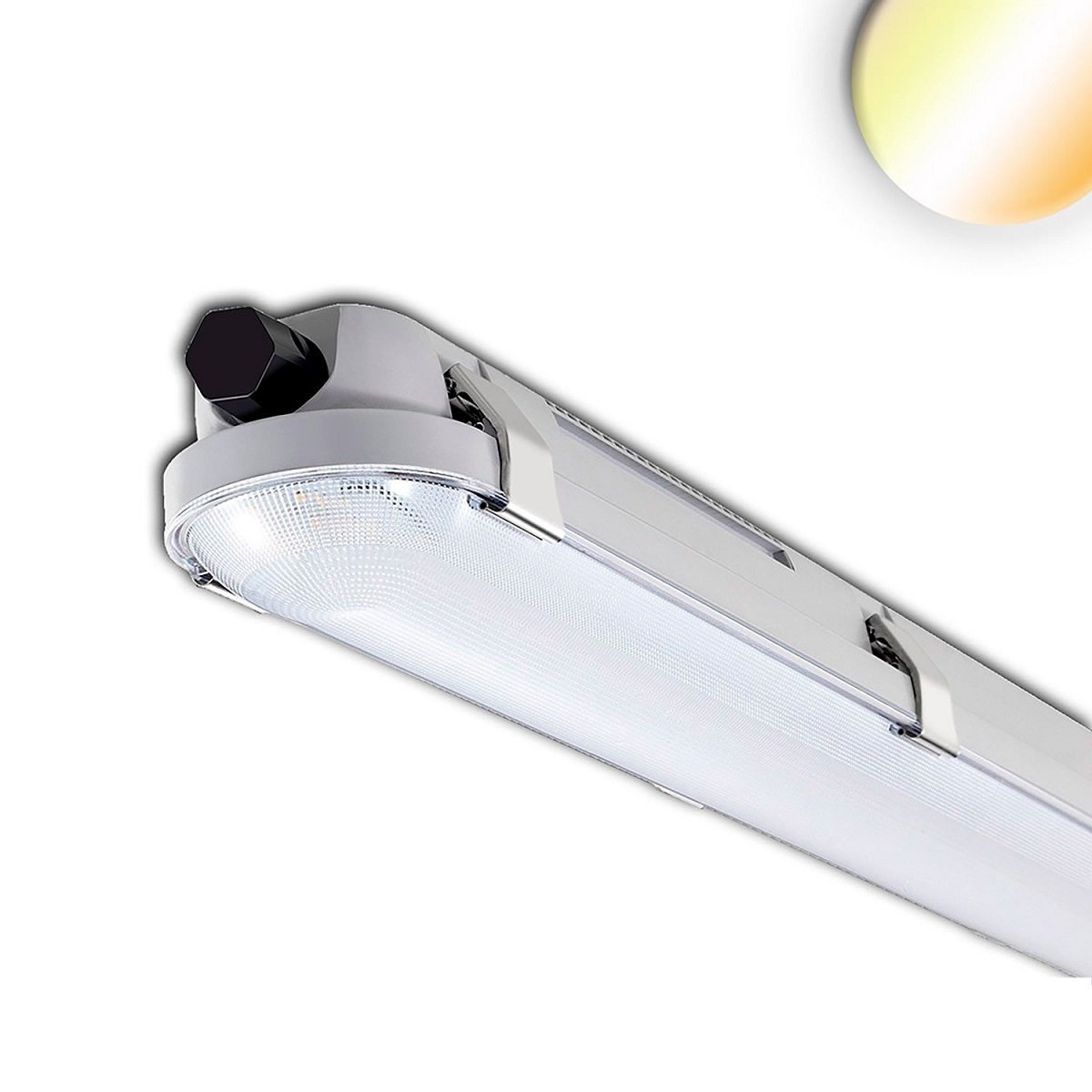 ISOLED 114150 LED Wannenleuchte Powerswitch 3000-4000-5000K