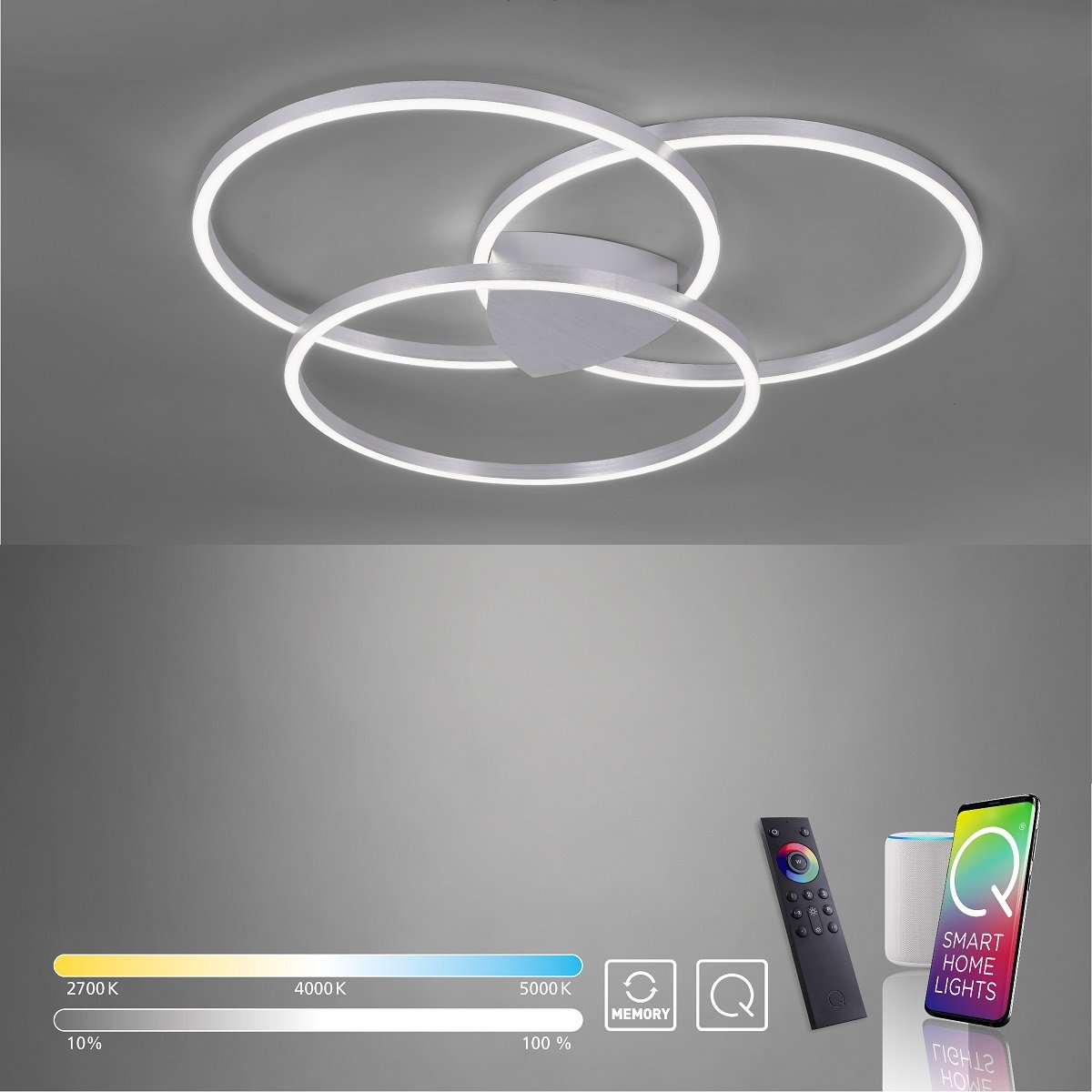 Paul Neuhaus 6579-95 Q-KATE Deckenleuchte aluminium