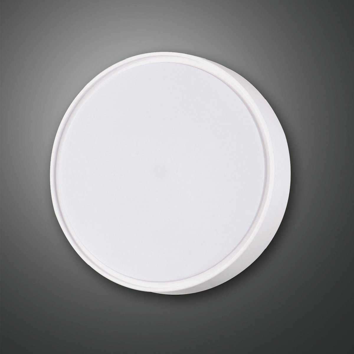 FABAS LUCE No. 3206-61-102 Deckenleuchte HATTON D.25 weiss IP65