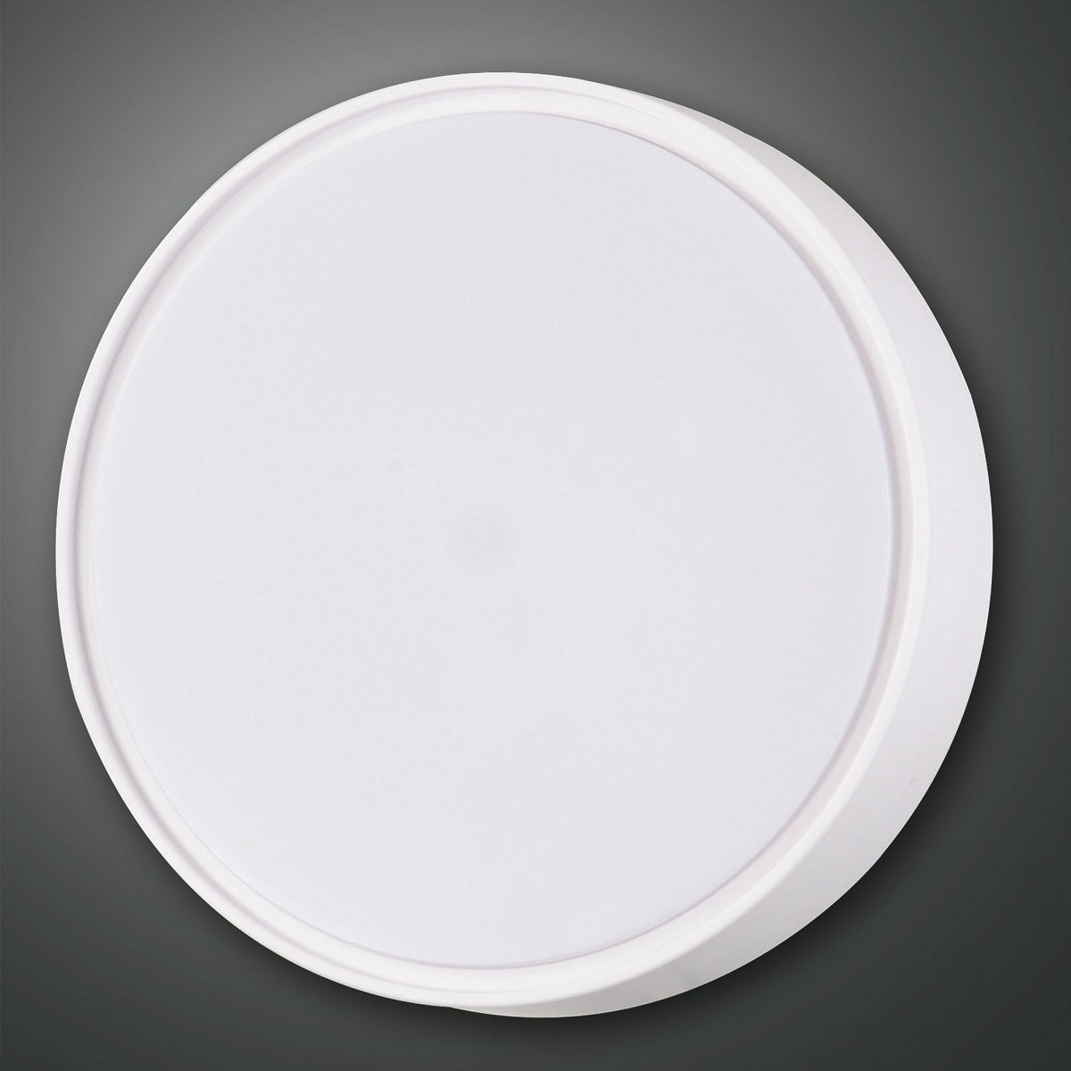 FABAS LUCE No. 3229-65-102 Deckenleuchte HATTON D.30 weiss IP65