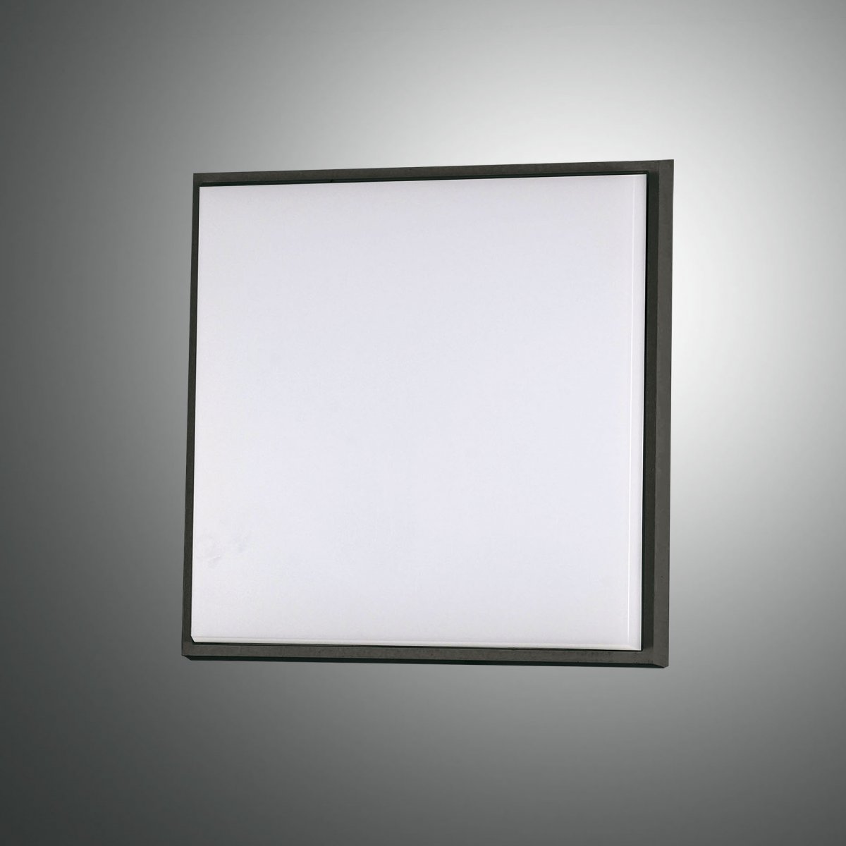 FABAS LUCE No. 3314-69-101 Deckenleuchte DESDY 18x18 schwarz IP54