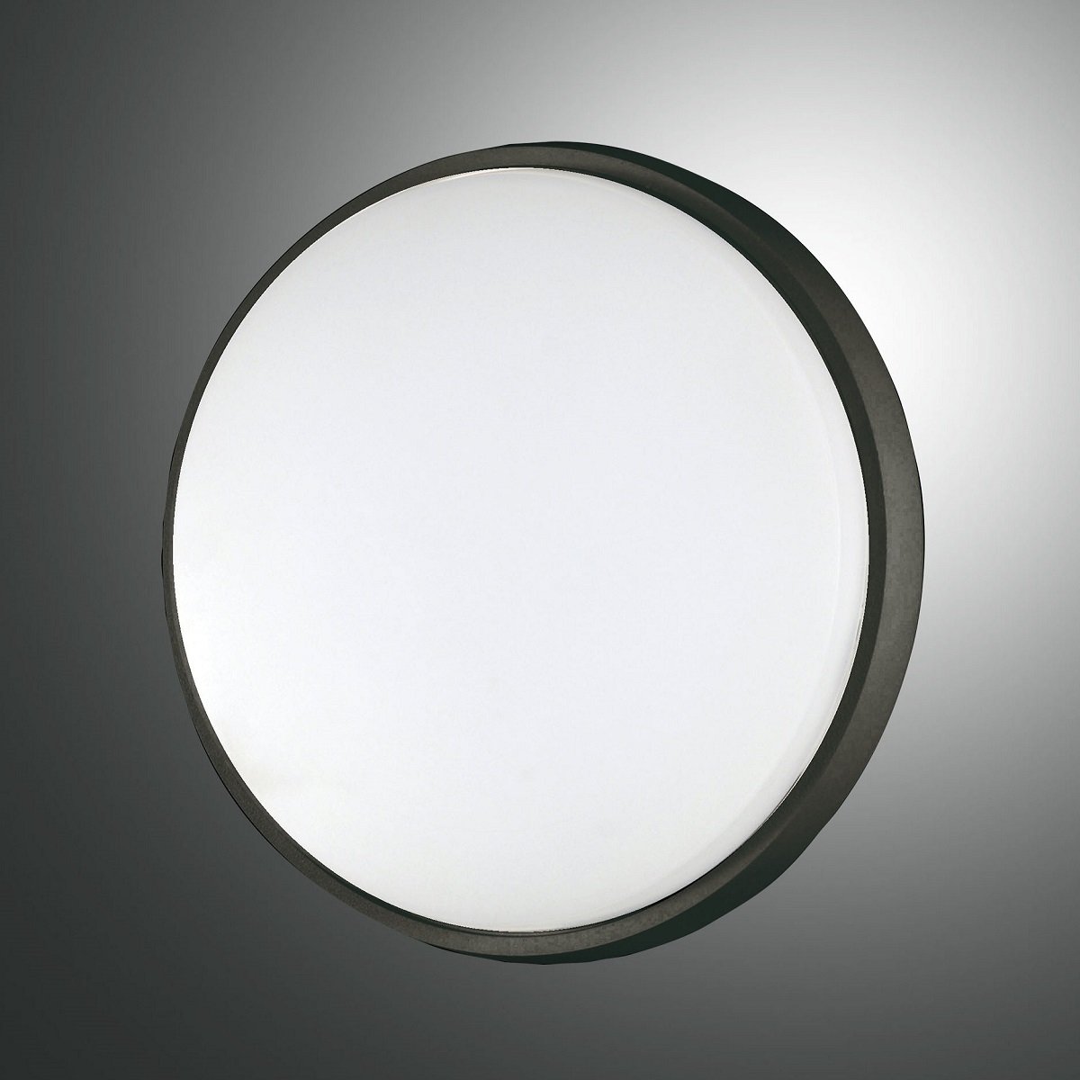 FABAS LUCE No. 3315-61-101 Deckenleuchte Olly LED 24cm Schwarz IP54