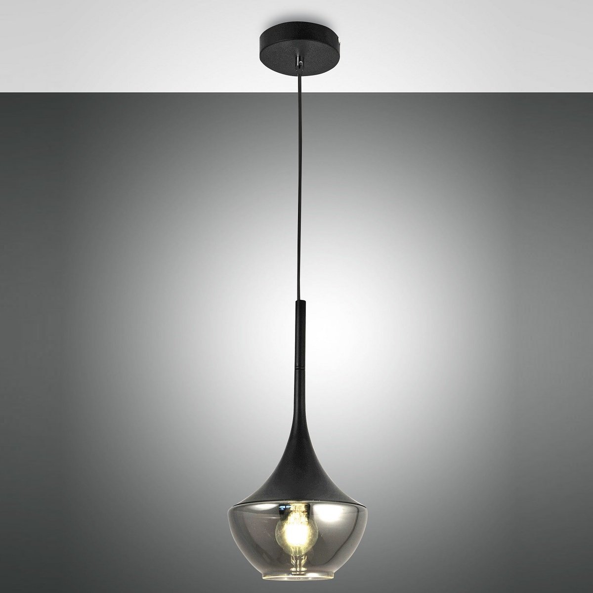 FABAS LUCE No. 3623-41-101 Pendelleuchte Apollo 1-flammig Schwarz E27