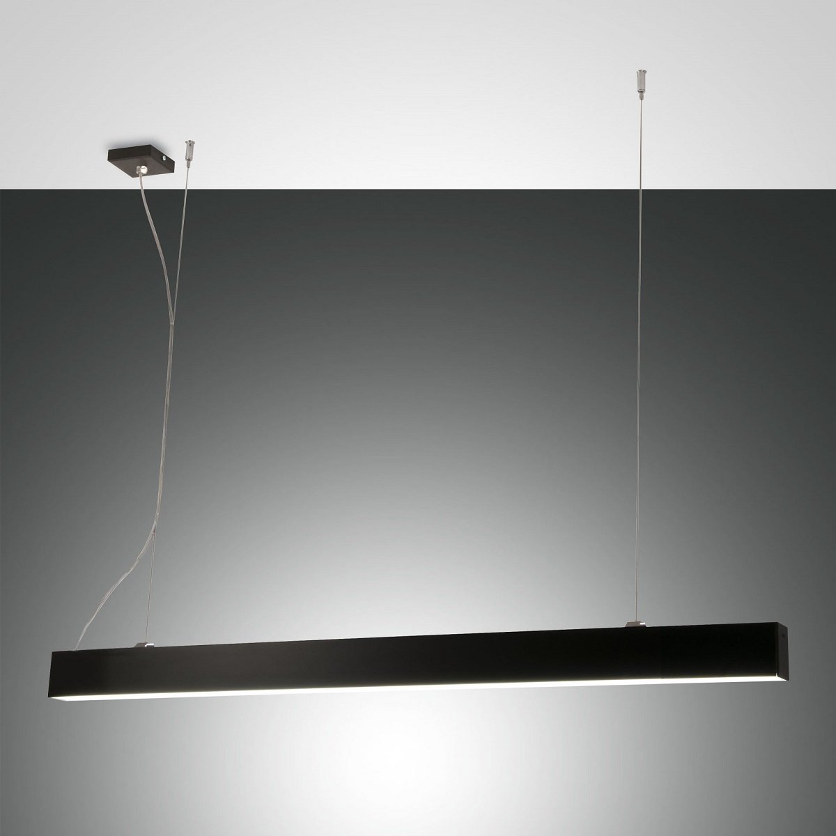 Fabas Luce 3681-40-101 LED Pendelleuchte Next 112cm schwarz