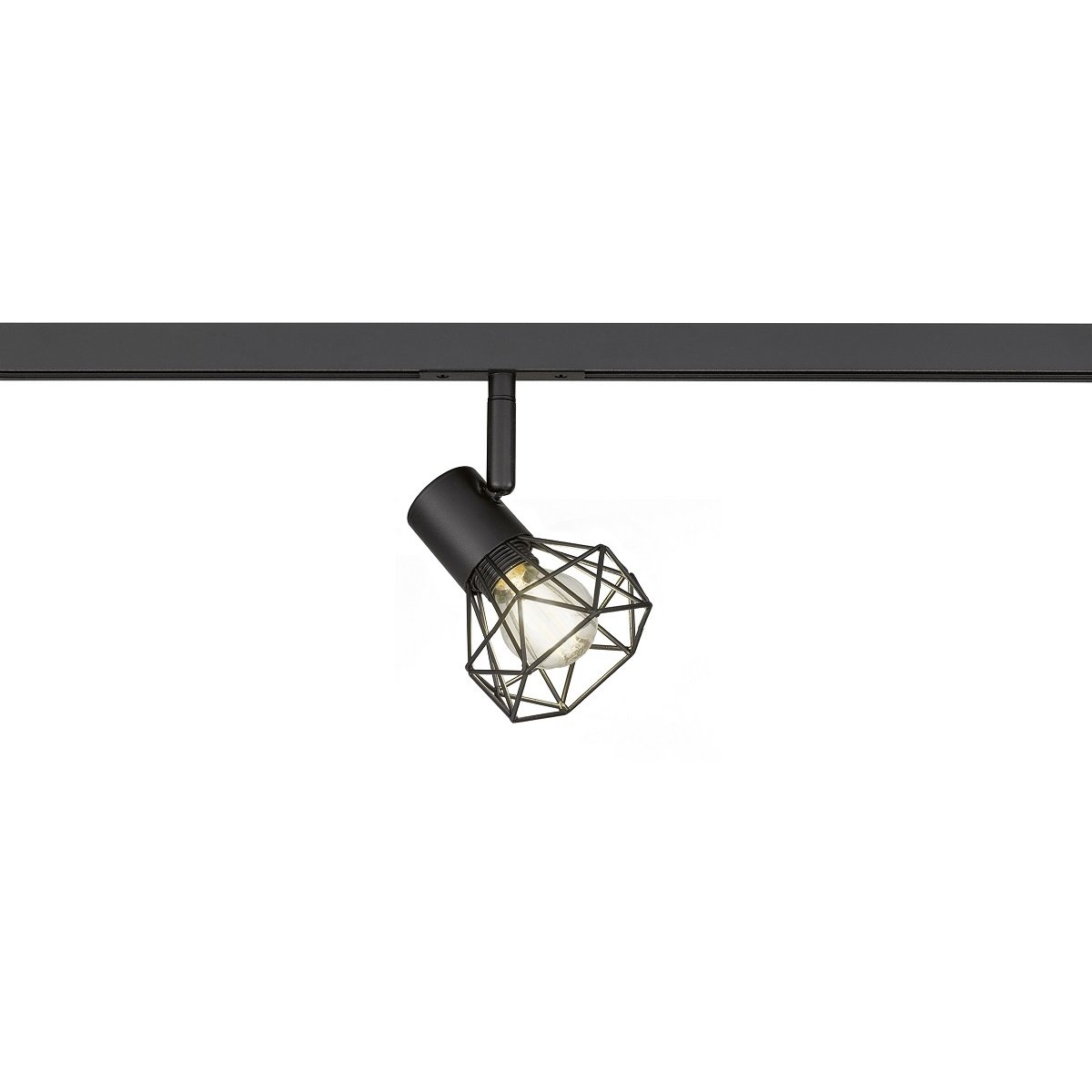 Fischer & Honsel 70538 m6 HV-Track 6 Spotkopf ohne Lichtquelle sandschwarz