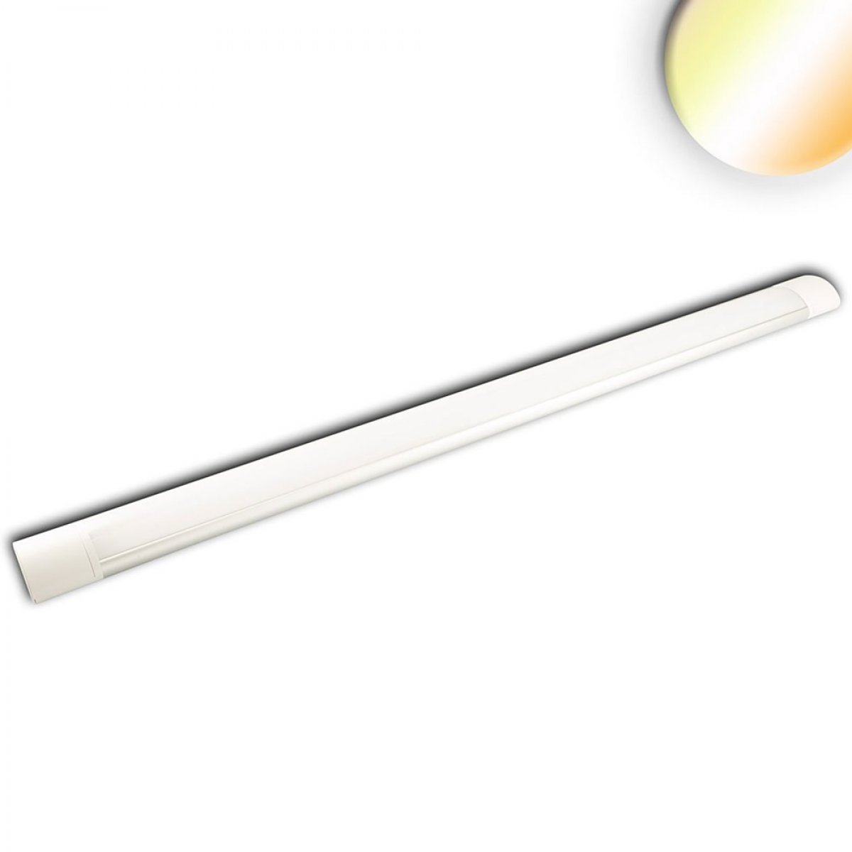 ISOLED 114065 LED Aufbauleuchte Color Switch 3000-3500-4000K