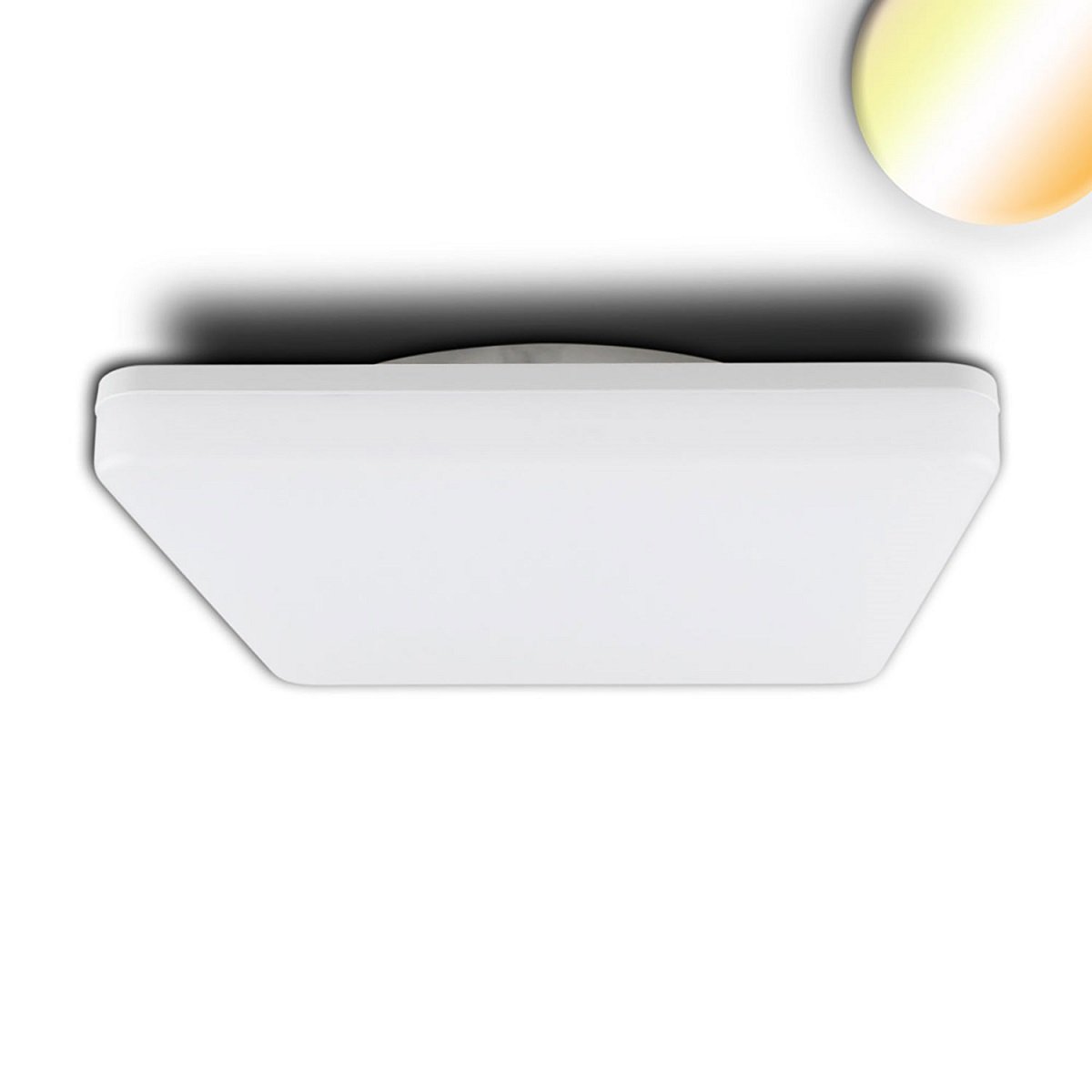 ISOLED 114152 LED Decken- und Wandleuchte wei� 328x328mm IP54 3000K