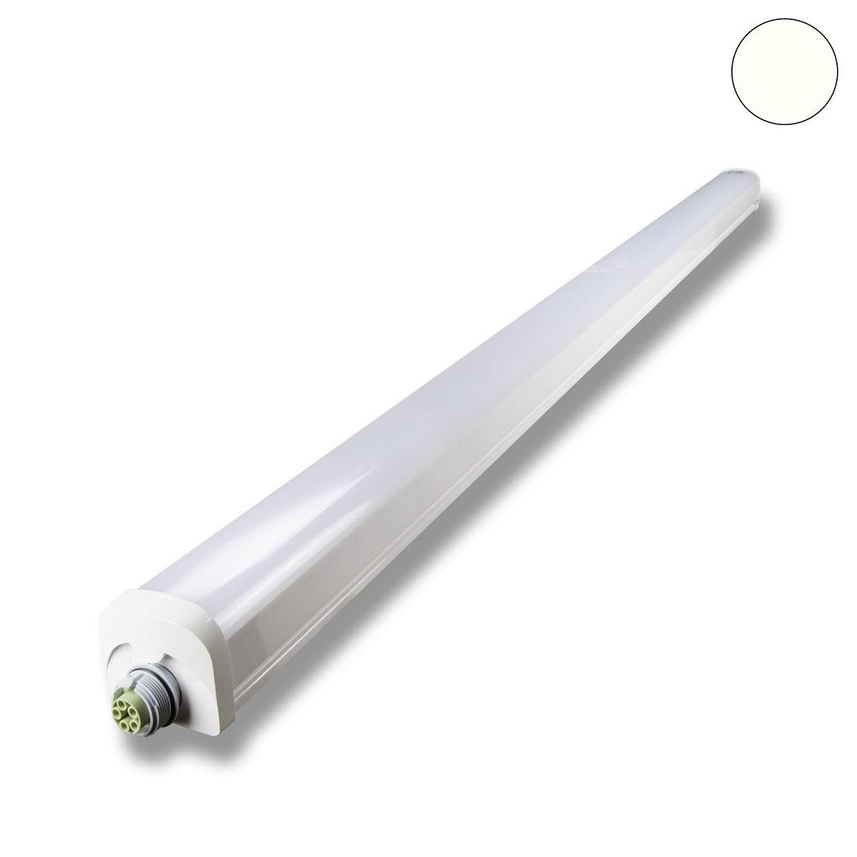 ISOLED 115152 LED Linearleuchte Professional 4000k DALI dimmbar