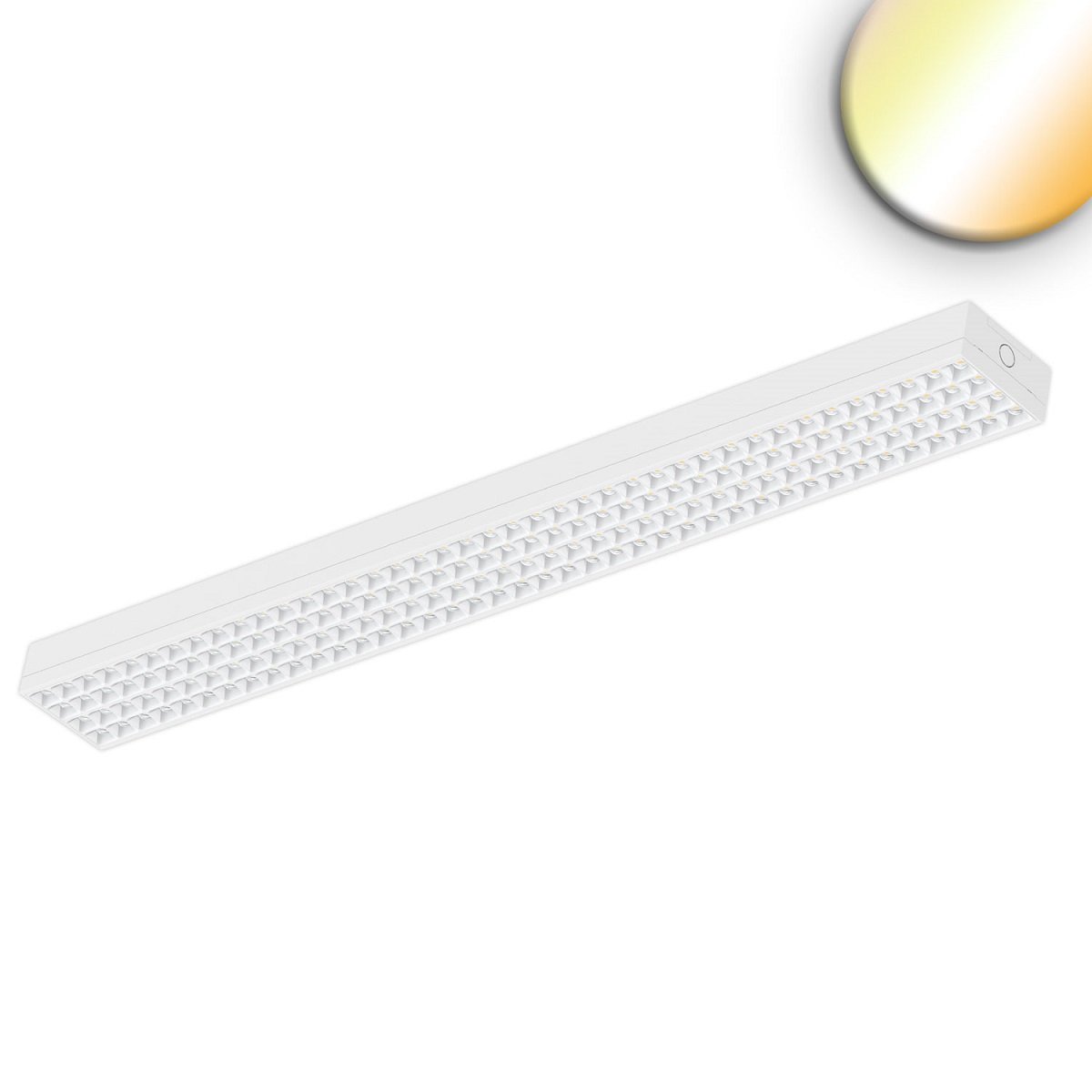 ISOLED 115822 LED Langfeldleuchte UGR<19 3000-4000K dimmbar