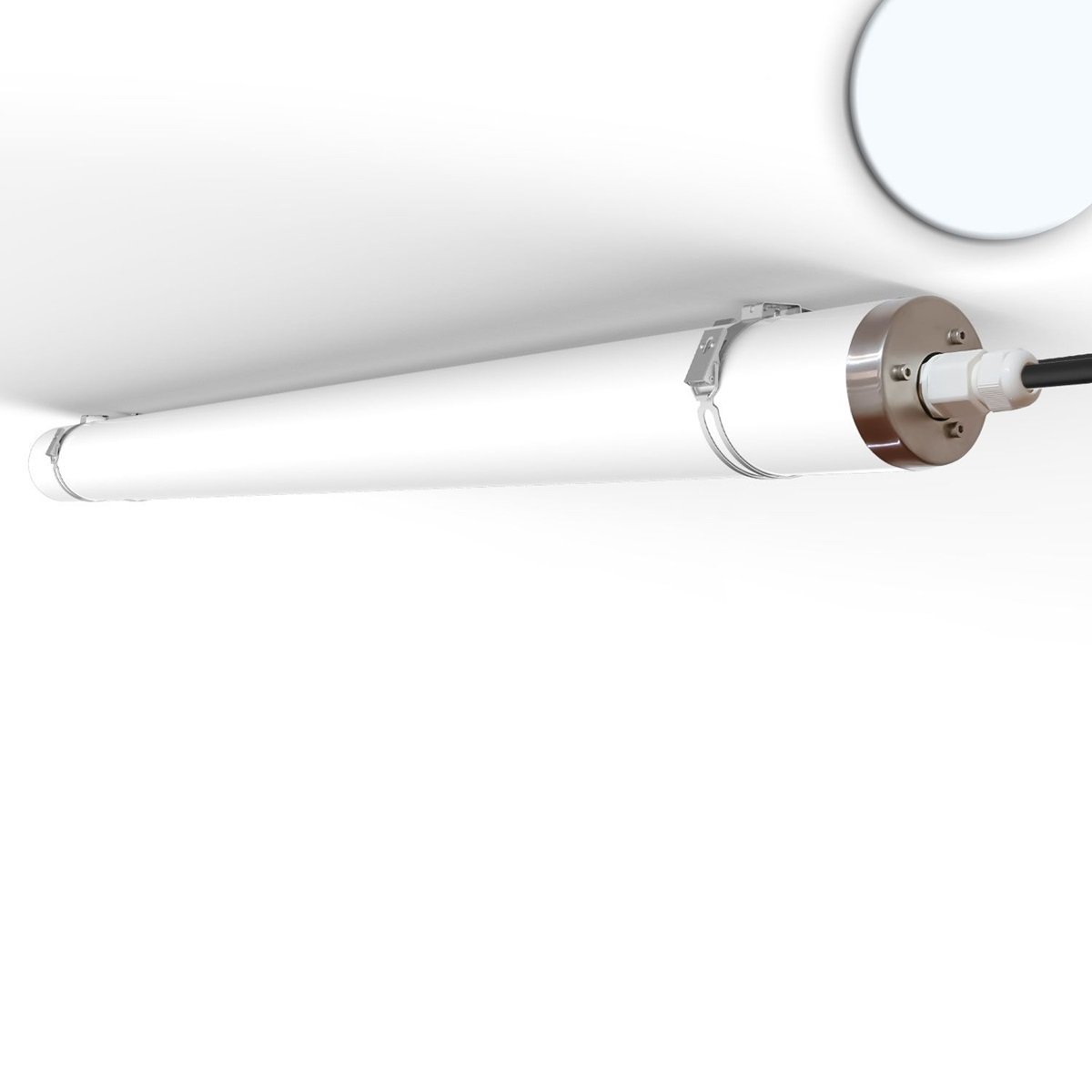 ISOLED 116126 LED Linearleuchte HP 6000K