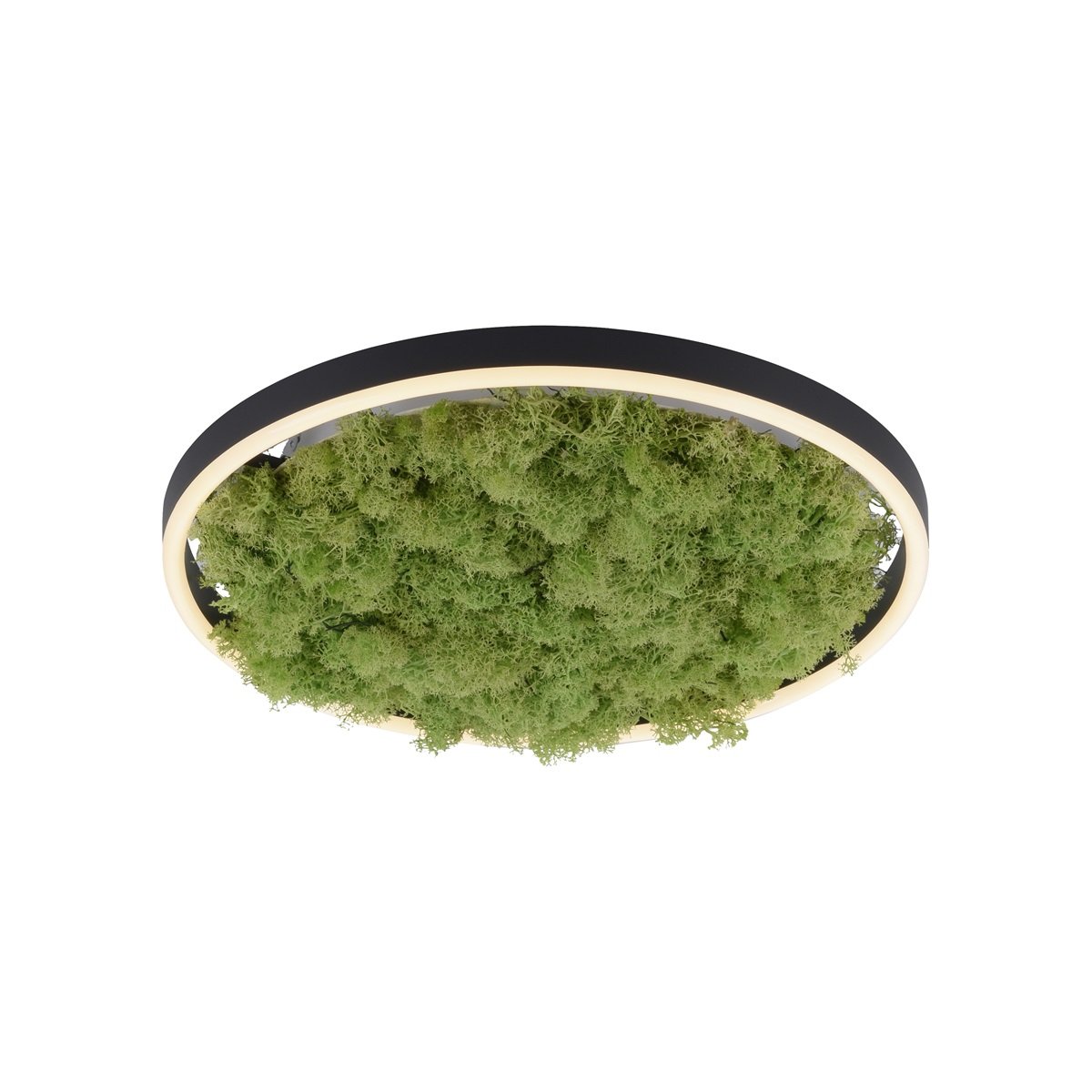 JUST LIGHT 15391-66 GREEN RITUS LED Deckenleuchte Moos 40cm