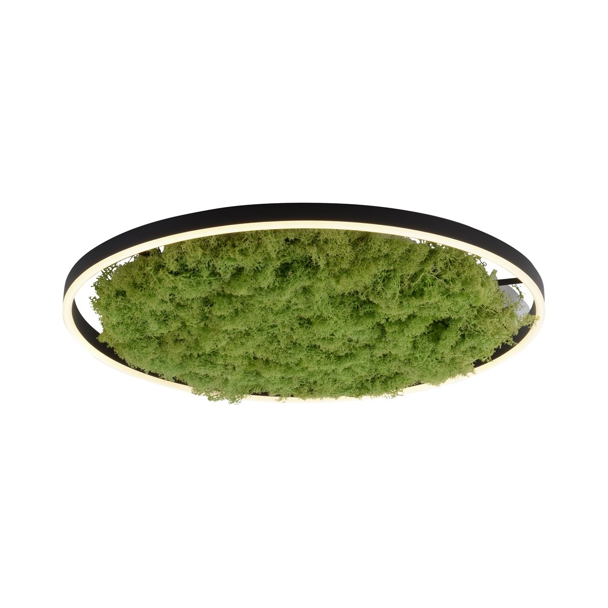 JUST LIGHT 15392-66 GREEN RITUS LED Deckenleuchte Moos 60cm