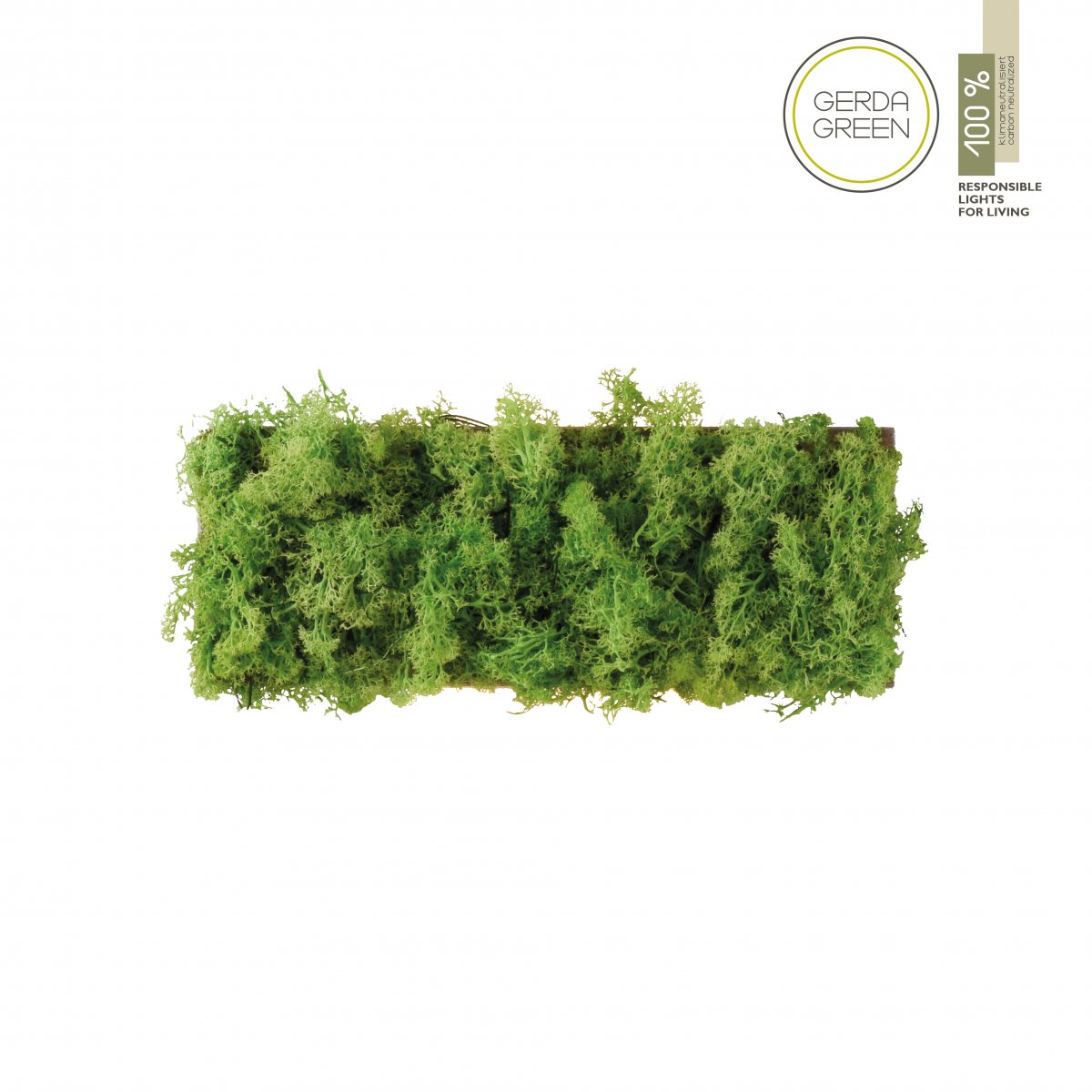JUST LIGHT 15637-66 GREEN CARLO LED Wandleuchte moos eckig