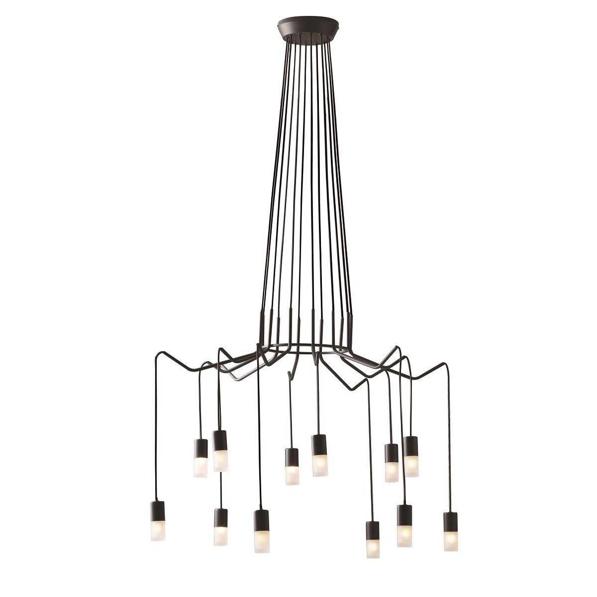 Luce Design Leuchten online S12 Light Lampen 12-flammig ECO im Shop & Spider --> Pendelleuchte kaufen