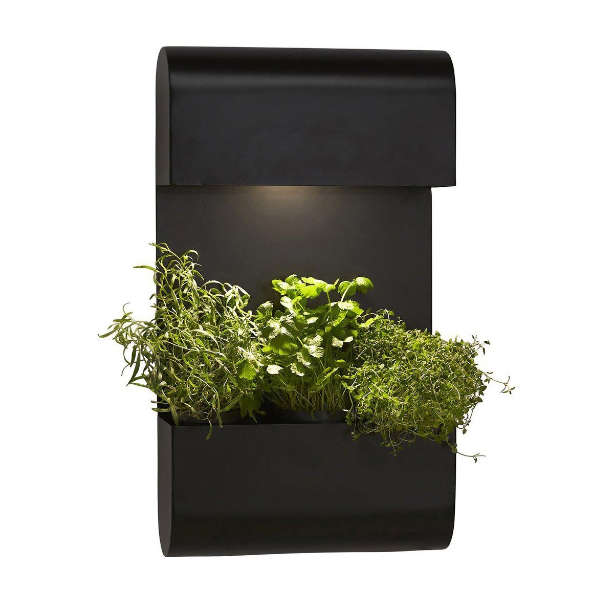 PR Home 1274003 Planta Wandaussenleuchte schwarz 70cm