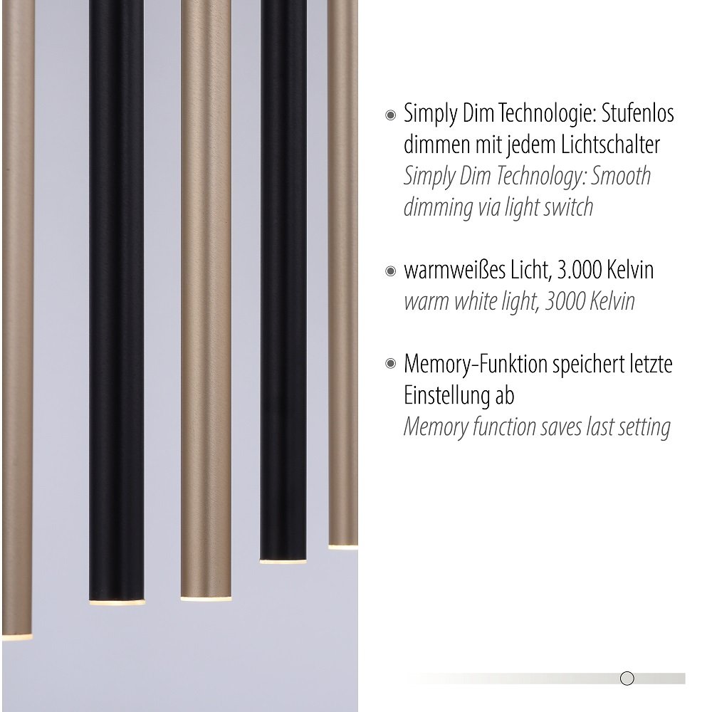 Paul Neuhaus 2117-18 Flute LED Pendelleuchte 7-flammig schwarz messing  Simply Dim --> Leuchten & Lampen online kaufen