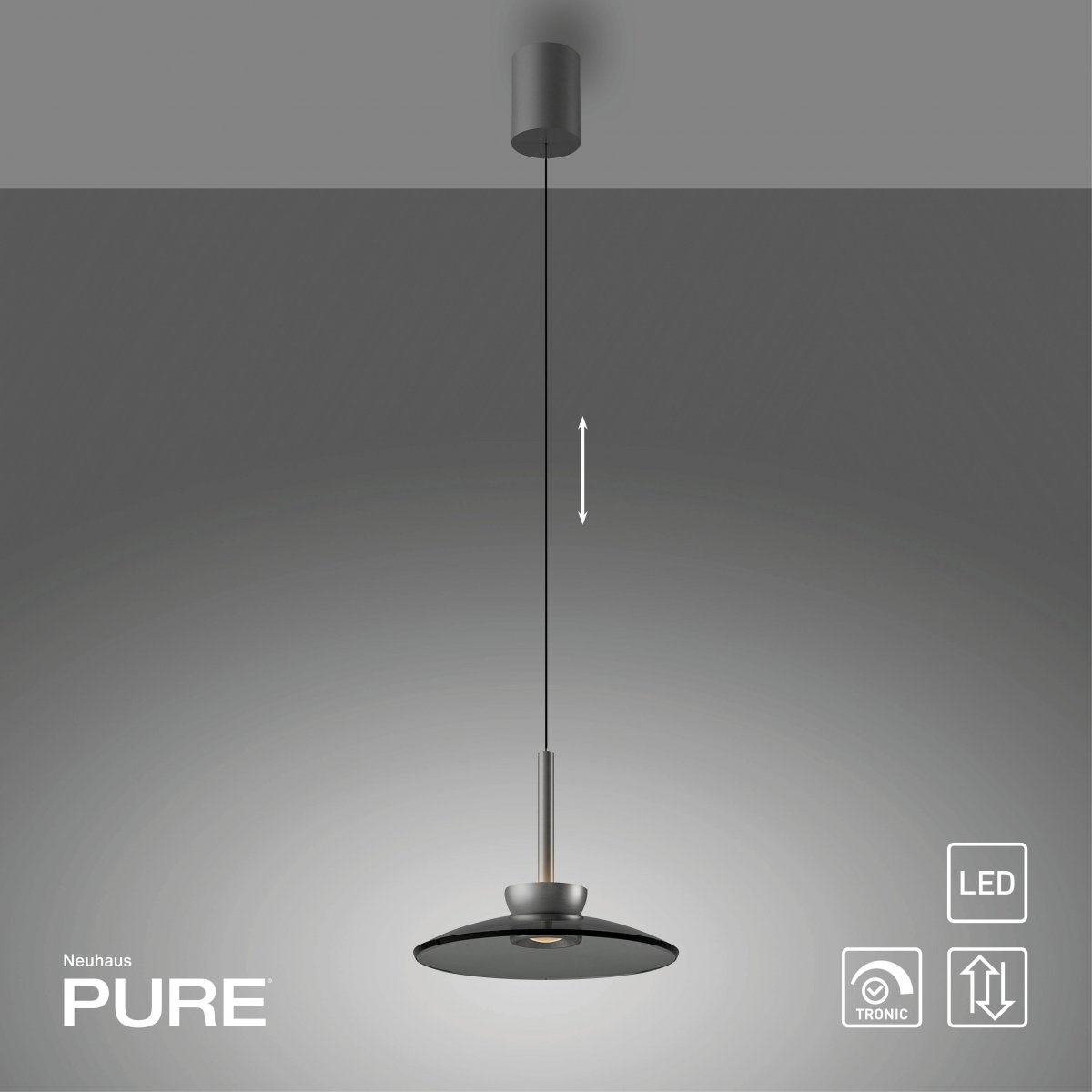 Paul Neuhaus 2191-15 PURE Moon Pendelleuchte platin grau
