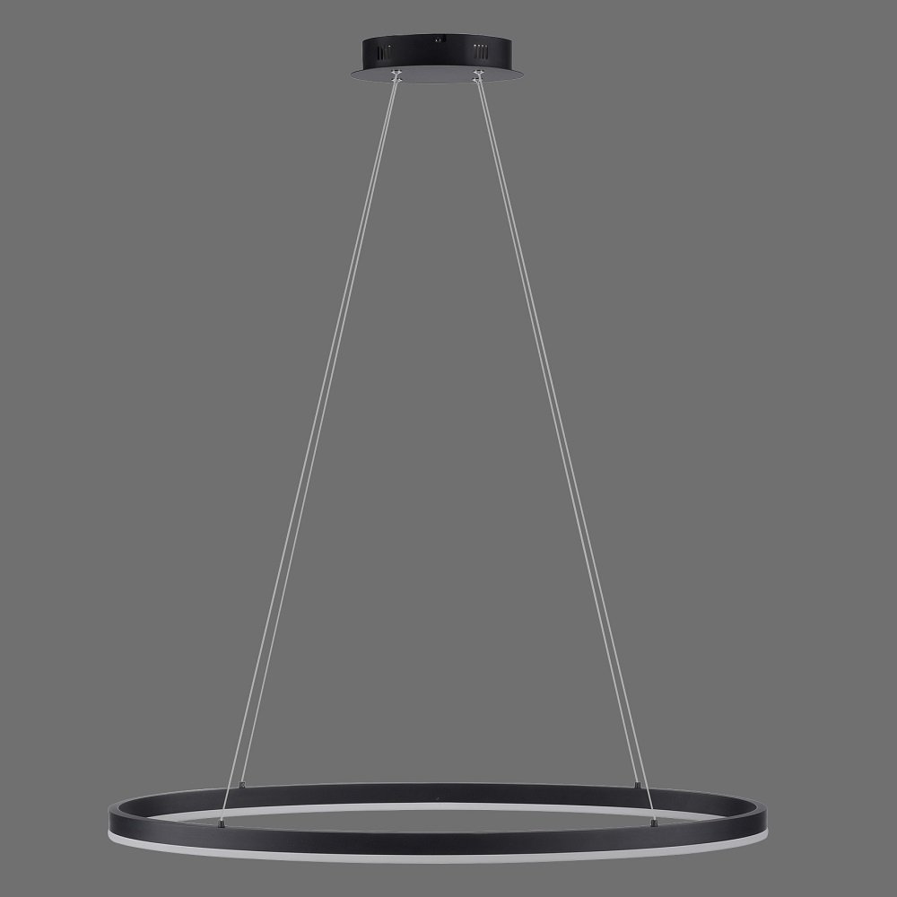 Paul Neuhaus 2392-13 Titus oval LED Pendelleuchte 80cm anthrazit Simply Dim  --> Leuchten & Lampen online kaufen im Shop