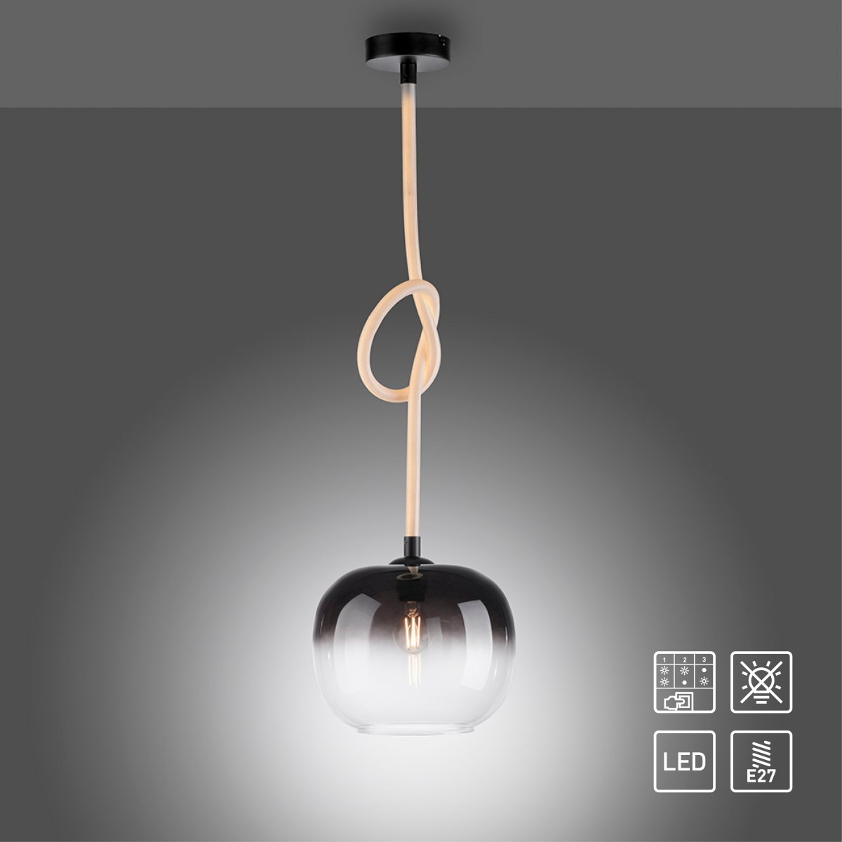 Paul Neuhaus 2410-18 LED Pendelleuchte 1-flammig Seil beleuchtet h�henverstellbar