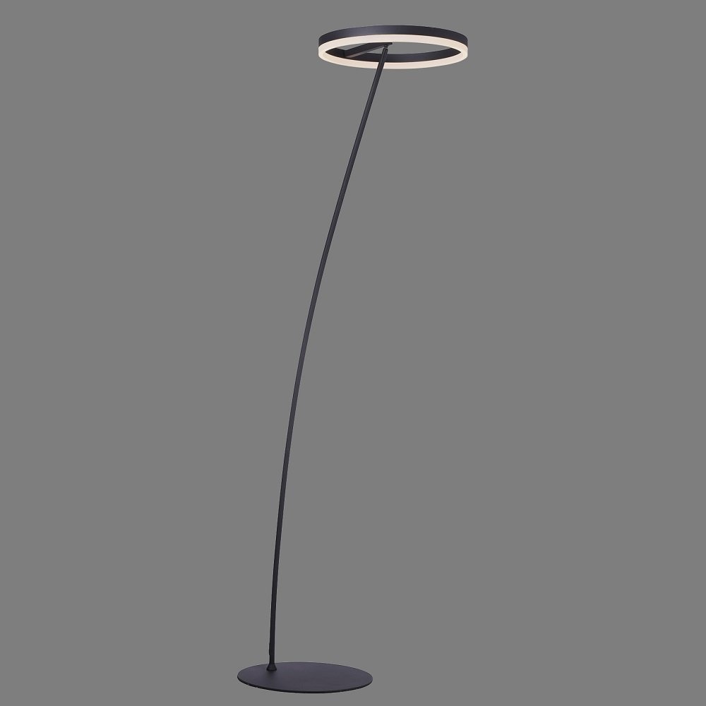 Paul Neuhaus 381-13 TITUS Stehleuchte online Lampen kaufen im anthrazit --> Leuchten & Shop
