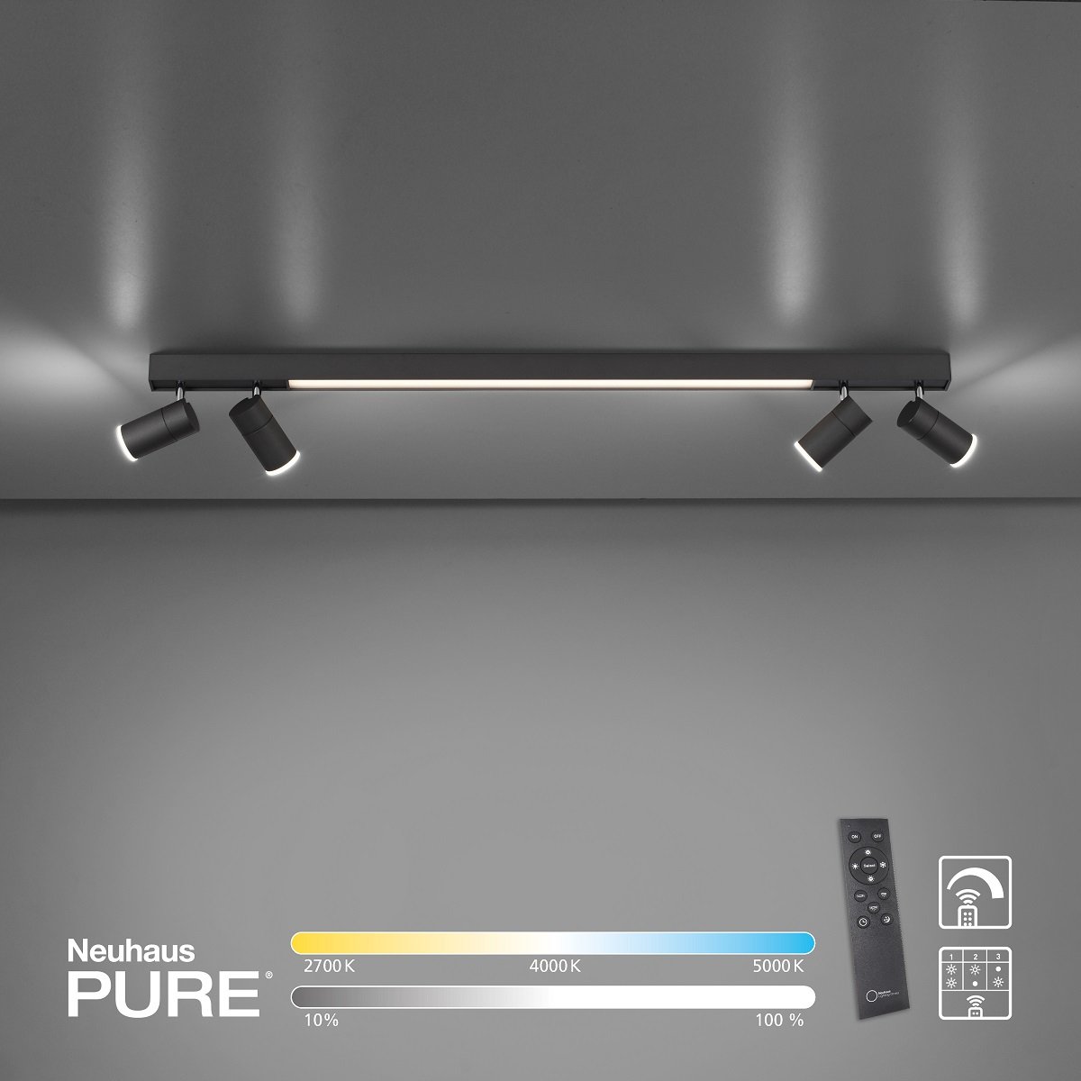 Paul Neuhaus 6121-13 PURE-LINES LED Deckenleuchte graphite CCT