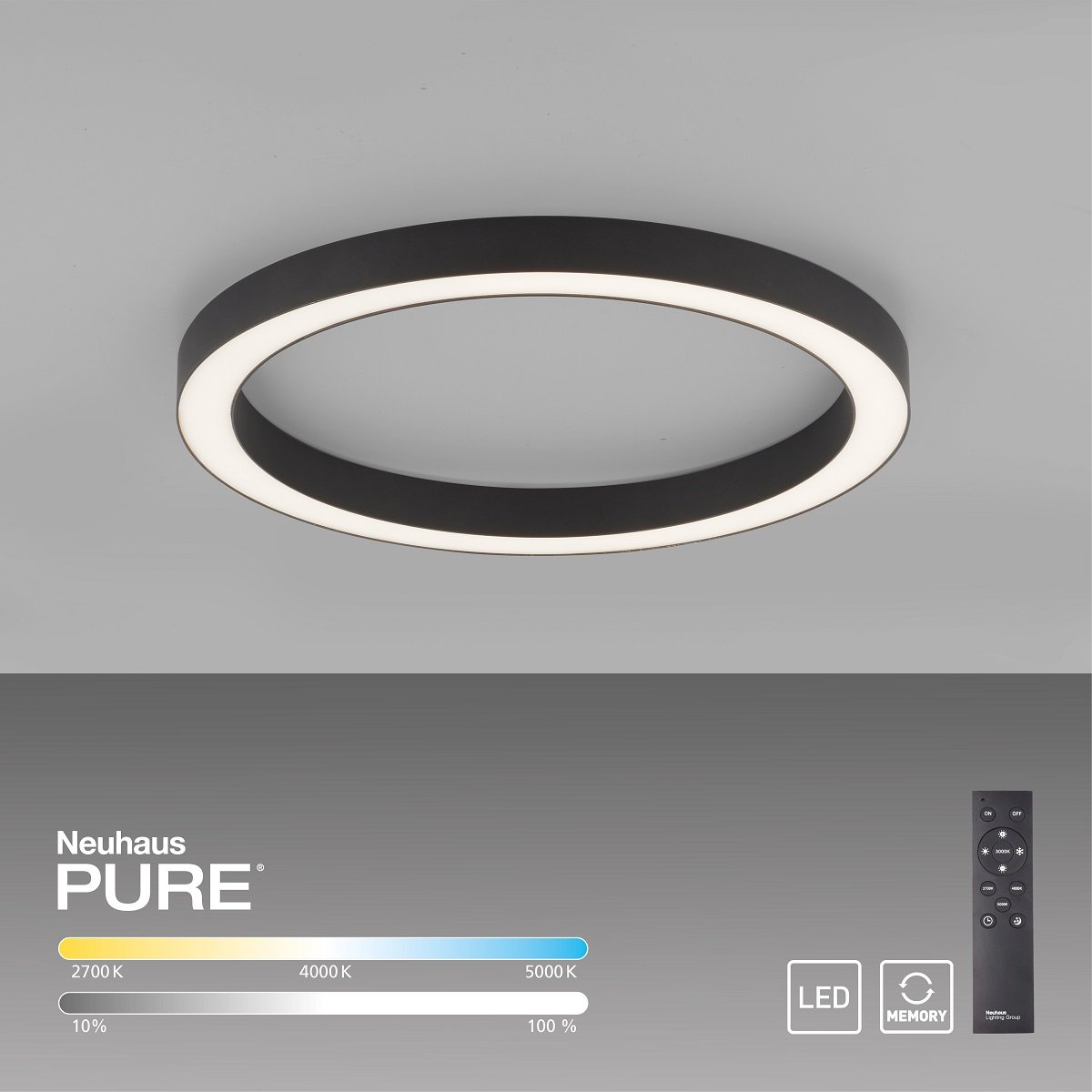 Paul Neuhaus 6309-13 PURE-LINES LED Deckenleuchte graphite CCT 50cm