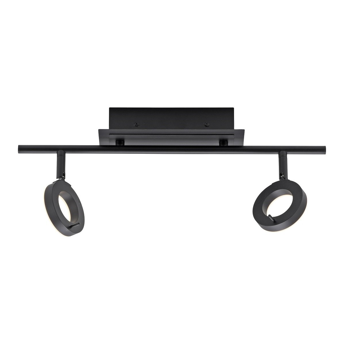 Paul Neuhaus 6781-13 SILEDA LED Deckenleuchte 2-flammig Anthrazit