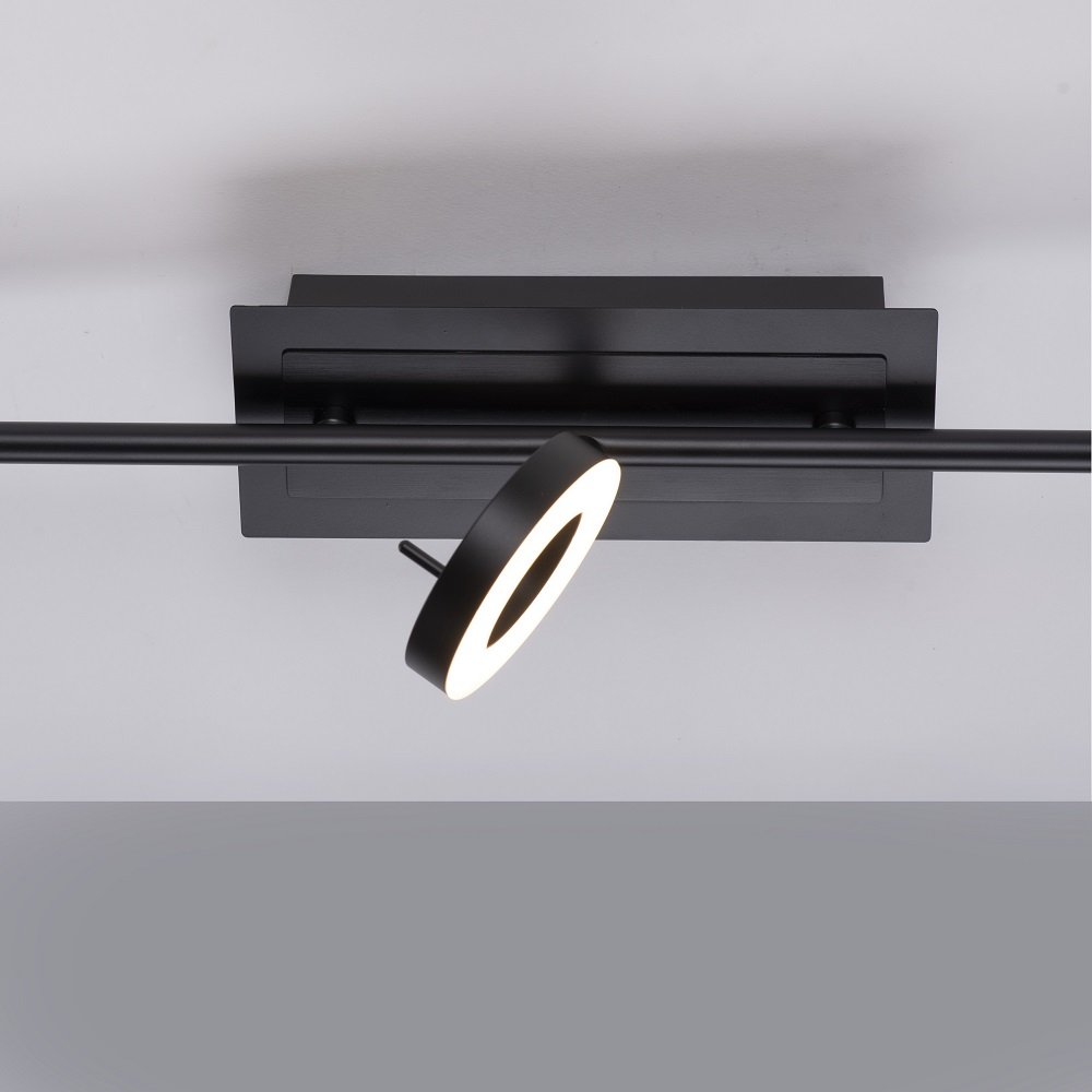 Paul Neuhaus 6785-13 SILEDA LED Deckenleuchte 3-flammig Anthrazit -->  Leuchten & Lampen online kaufen im Shop | Deckenlampen