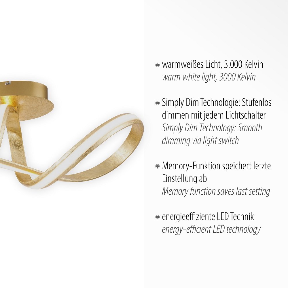 Paul Neuhaus 8331-12 MELINDA Deckenleuchte gold --> Leuchten & Lampen  online kaufen im Shop