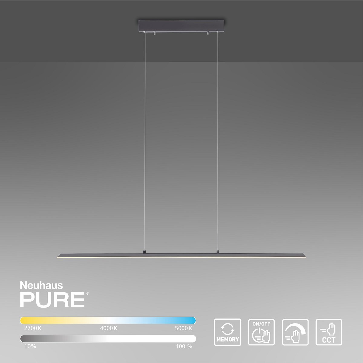 Paul Neuhaus 8375-13 PURE-LITE LED Pendelleuchte graphite CCT 100cm