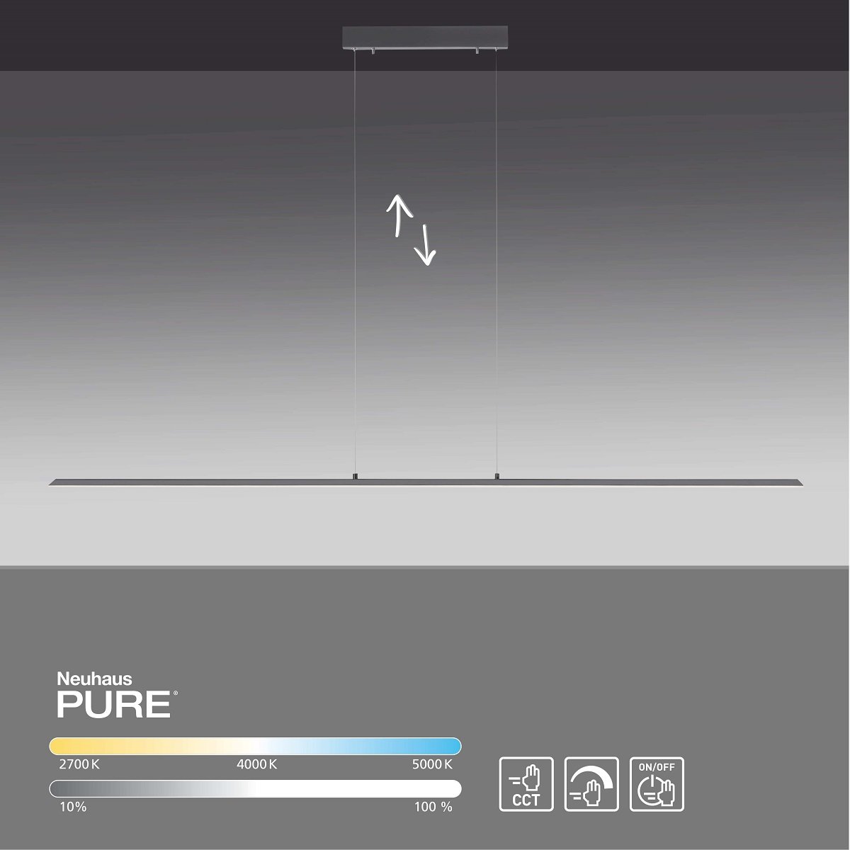 Paul Neuhaus 8377-13 PURE-LITE LED Pendelleuchte graphite CCT 160cm