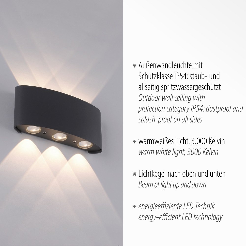 Paul Neuhaus 9488-13 Carlo LED Wandleuchte außen anthrazit IP54 