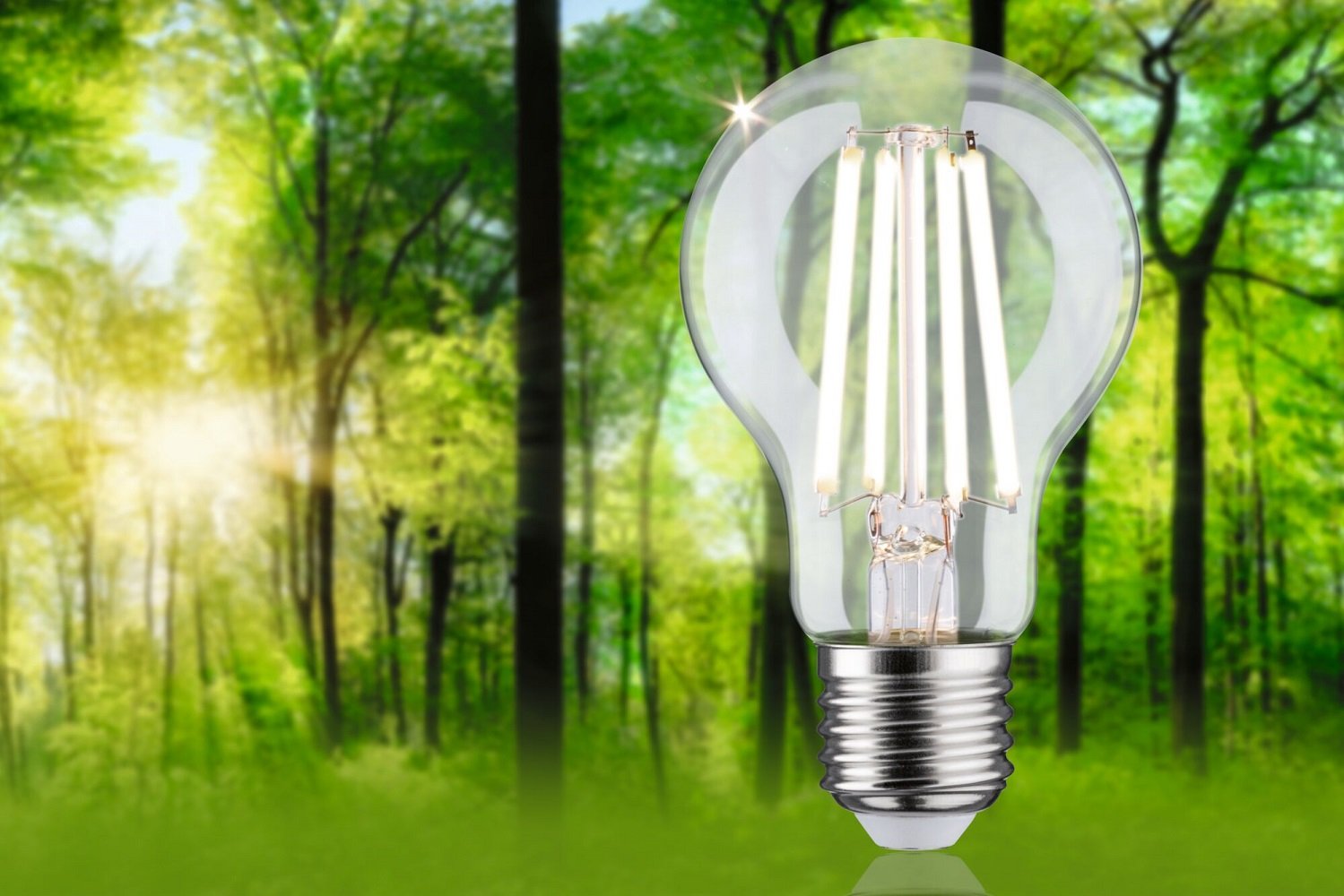 Paulmann 29125 Eco-Line Filament 230V LED Birne E27 840lm 4000K klar ...