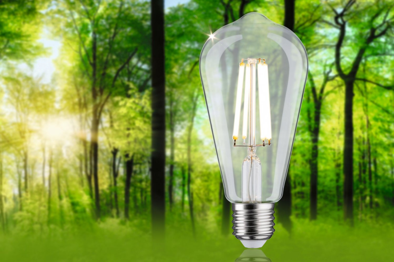 Paulmann 29126 Eco-Line Filament 230V LED Kolben ST64 E27 840lm 4000K ...