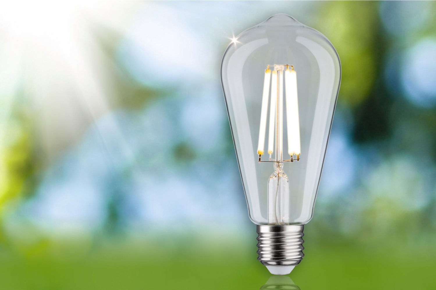 Paulmann 29126 Eco-Line Filament 230V LED Kolben ST64 E27 840lm 4000K ...