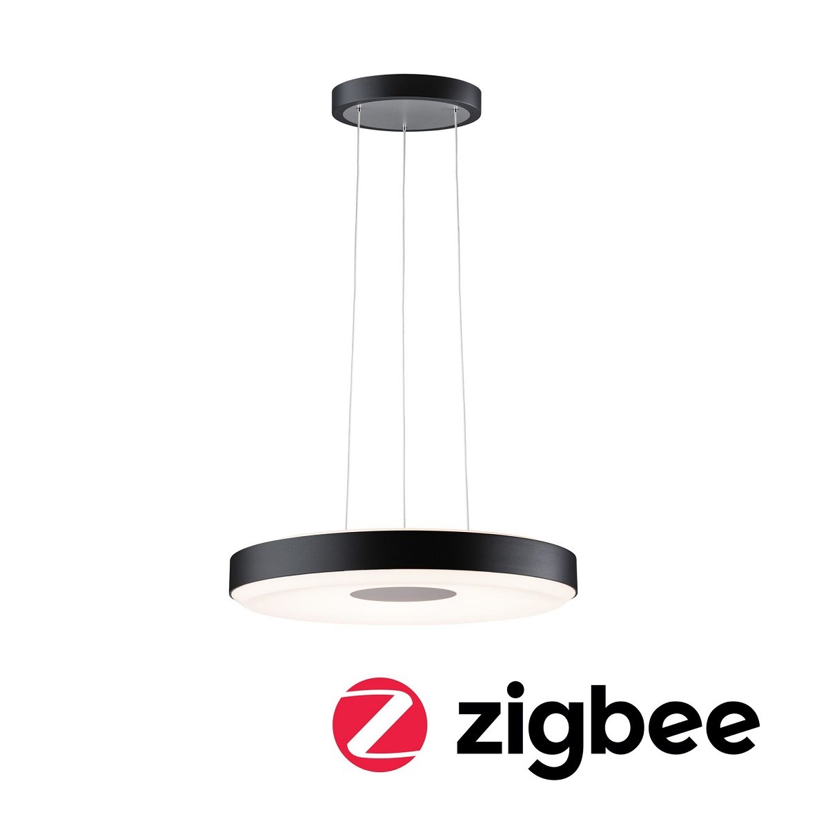 LED ZigBee Home kaufen Paulmann online im Lampen 400mm & Schwarz --> Shop Pendelleuchte Puric Smart Pane 79779 Leuchten