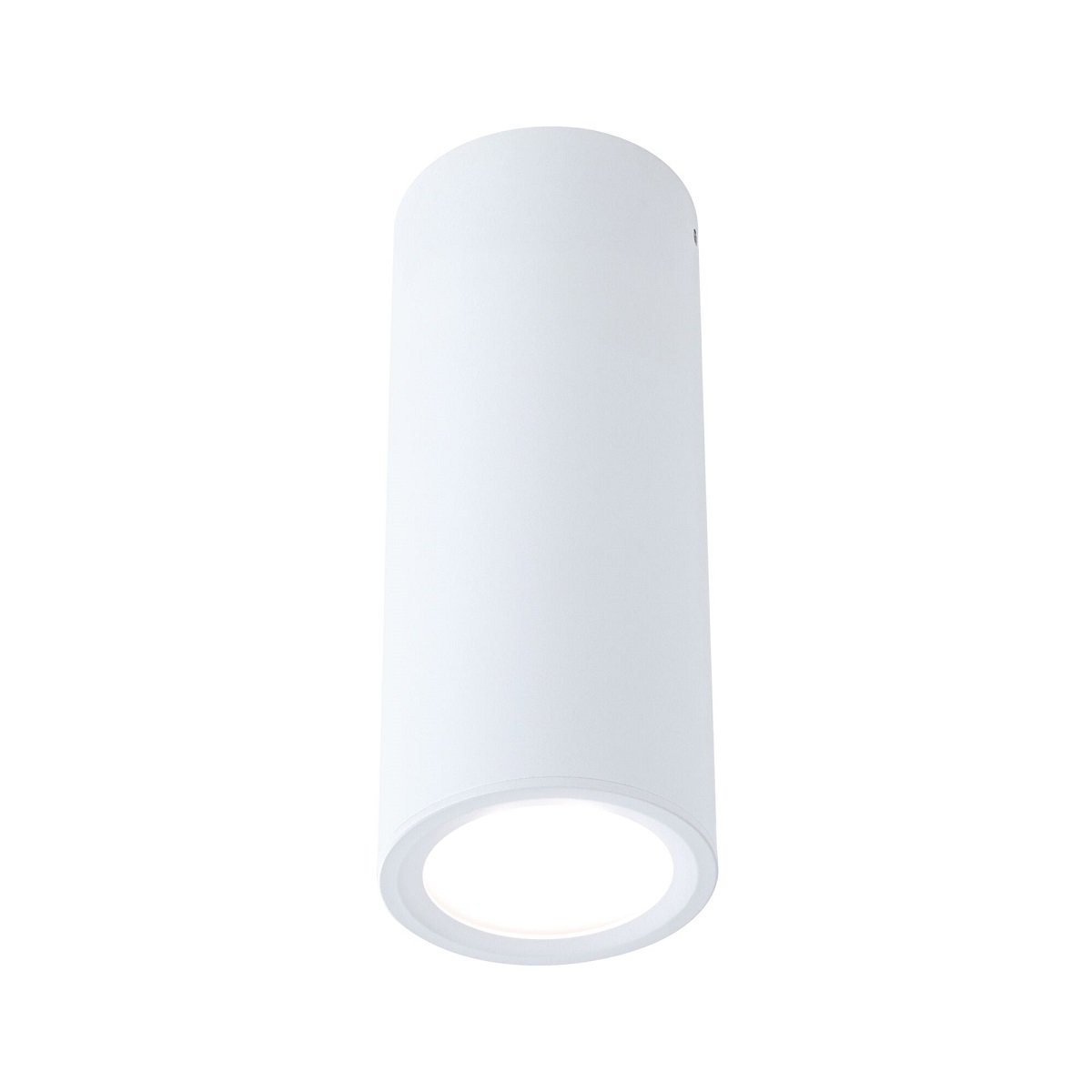 Paulmann 93105 LED Deckenleuchte Barrel wei�