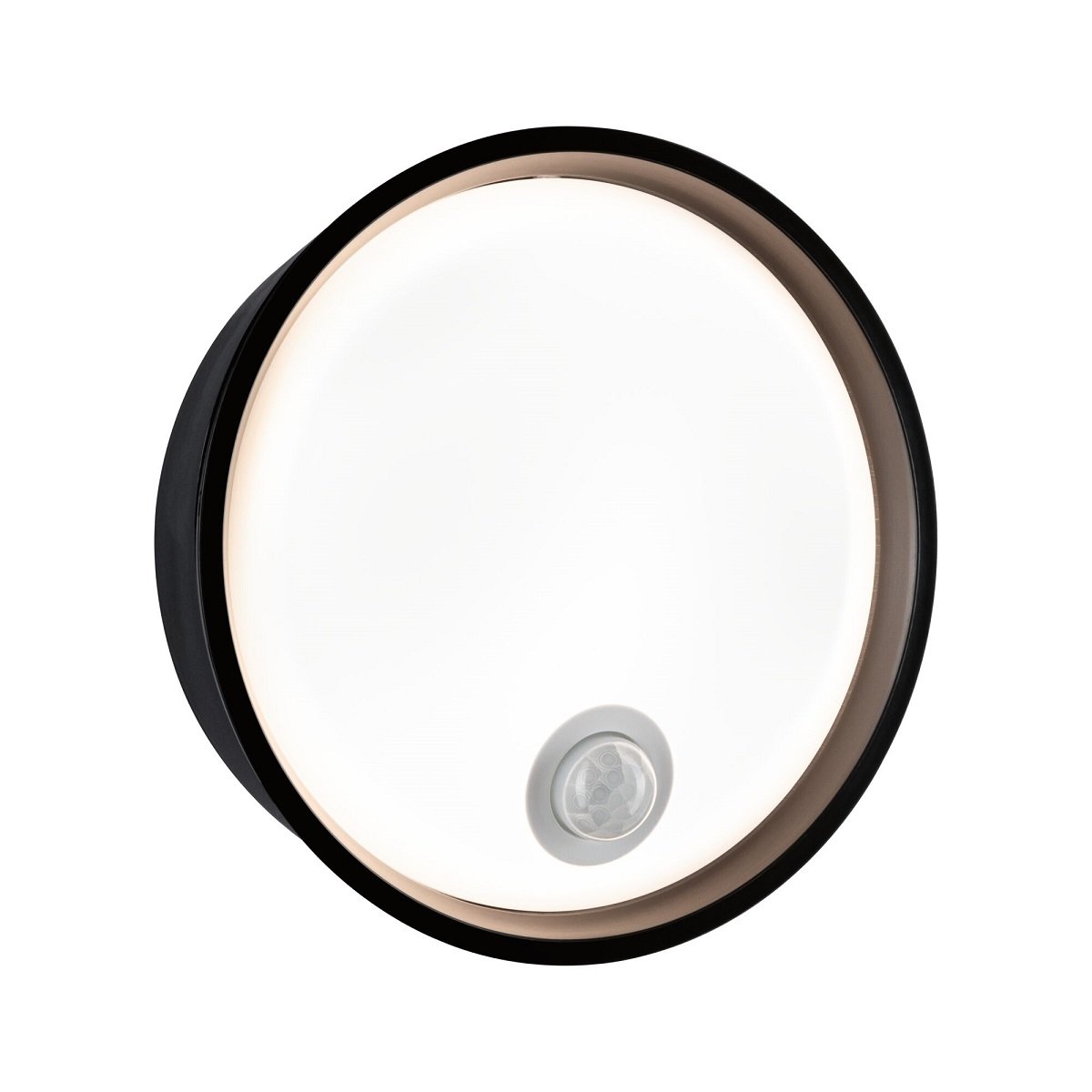 Paulmann 94698 LED Au�enwandleuchte Platomo Bewegungsmelder schwarz IP44