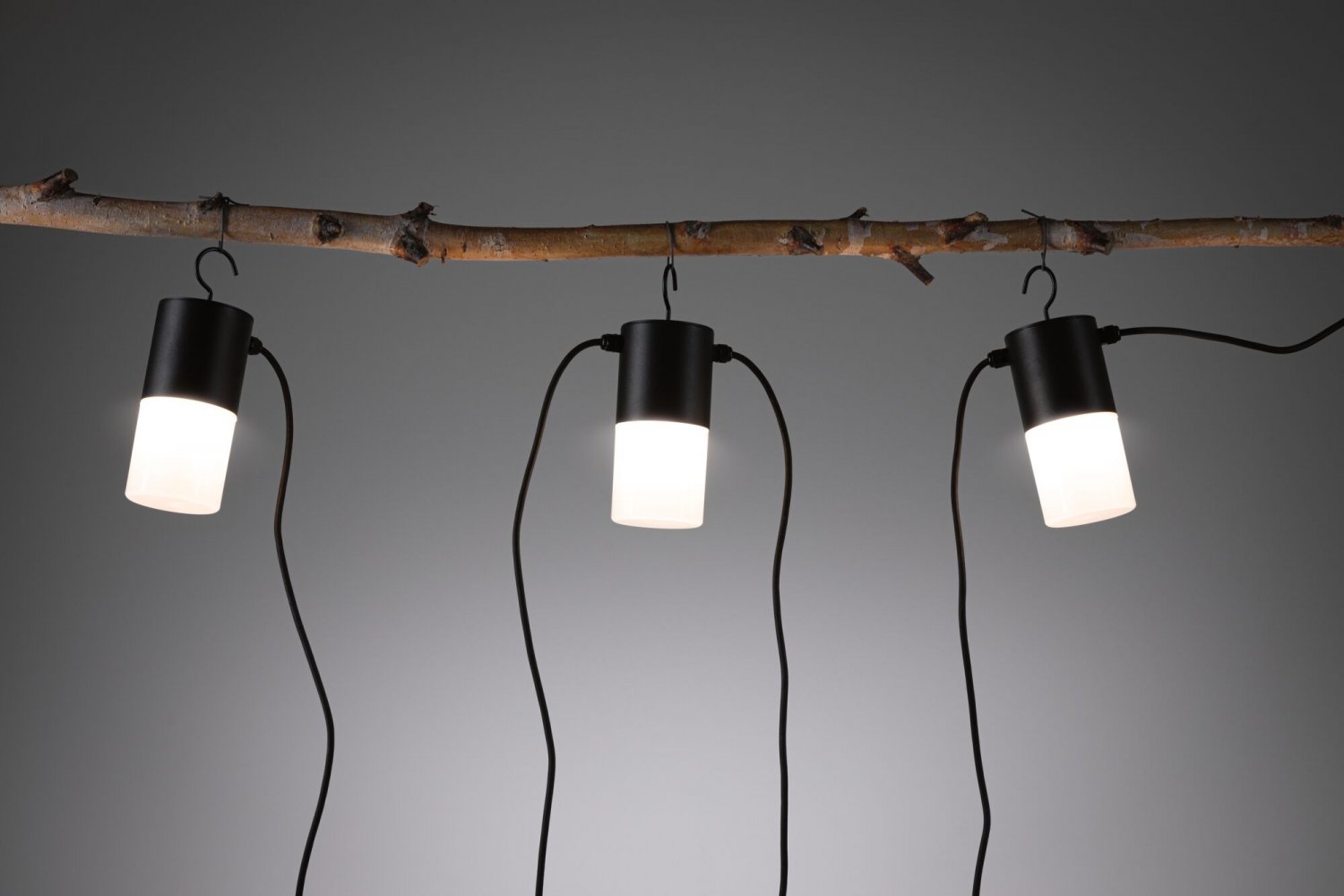 Paulmann 94322 Plug & Shine LED buitenverlichting Poller Classic IP44 incl. 1x2 watt dimbaar helder metaal 3000 K E14