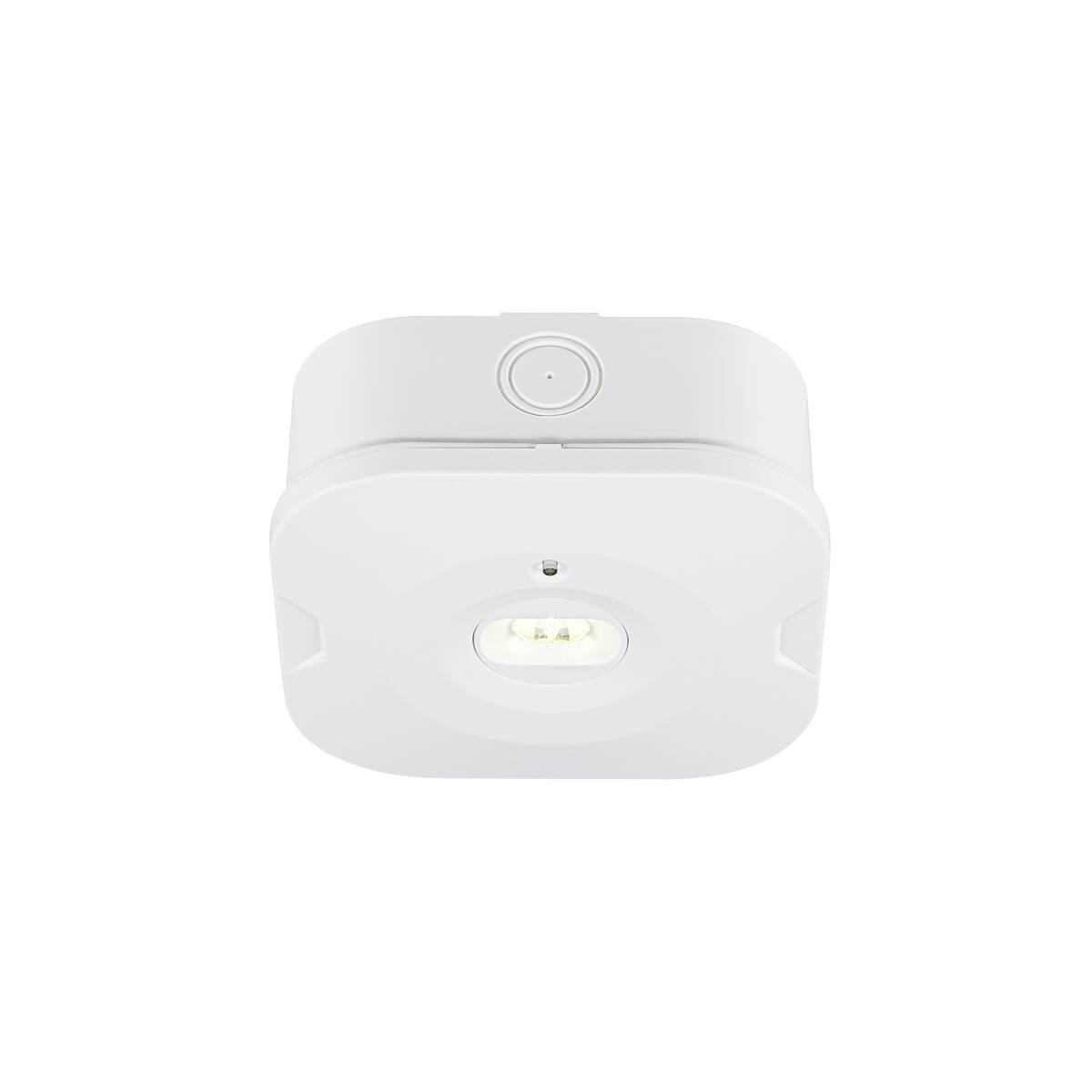 SLV 1010508 P-LIGHT Deckenaufbauleuchte quadratisch 6500K wei�