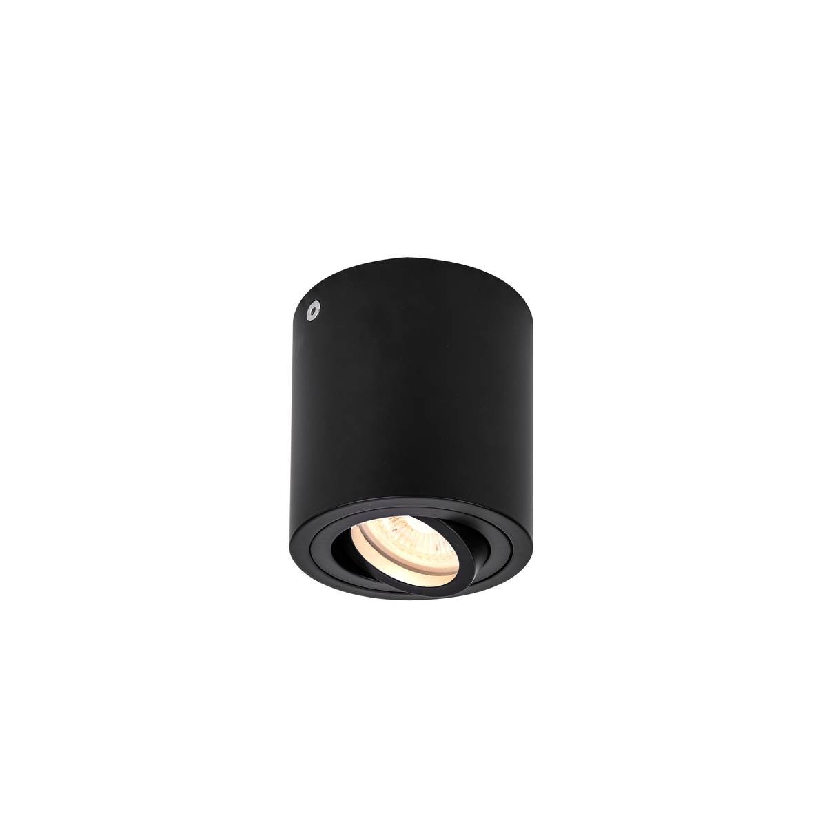 SLV No. 1002010 TRILEDO CL Indoor Deckenaufbauleuchte QPAR51 schwarz max 10W